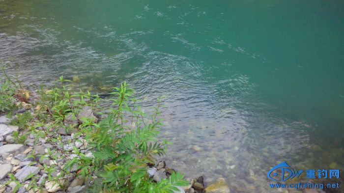 201239b1o711dziwn2nodk.jpg