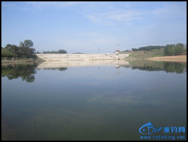 conew_img_6852.jpg