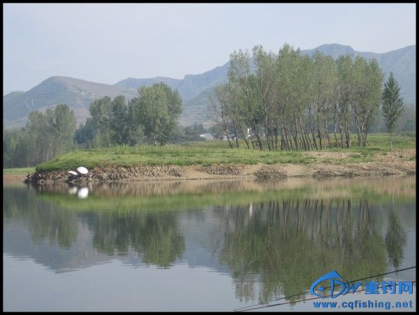 conew_img_6855.jpg