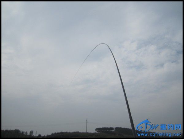 conew_img_6871.jpg