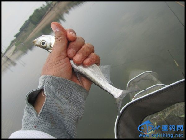 conew_img_6876.jpg