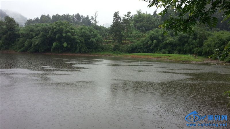 20140812_135356.jpg