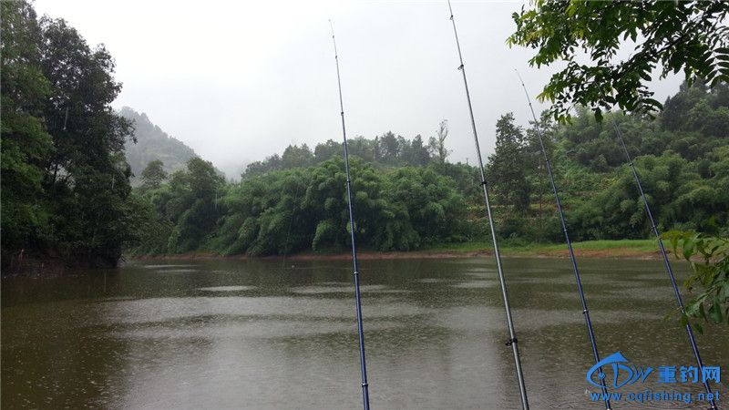 20140812_151120.jpg