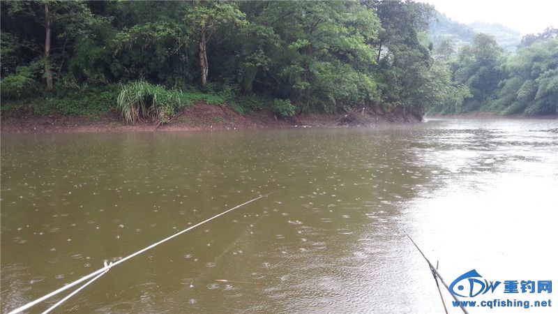 20140812_165341.jpg