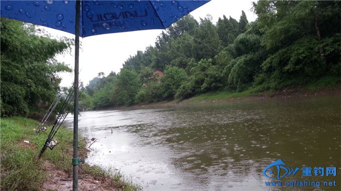 20140812_165350_.jpg