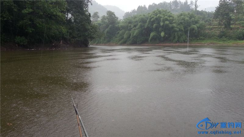 20140812_170626.jpg