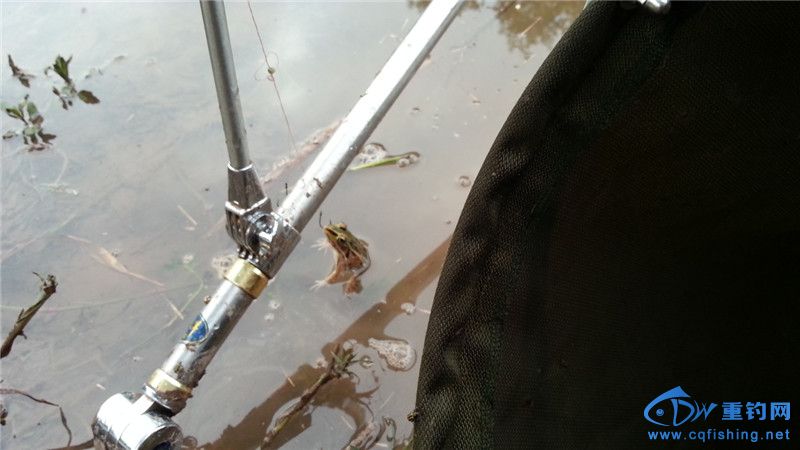 20140813_072523.jpg