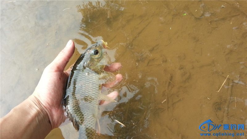 20140813_092737.jpg
