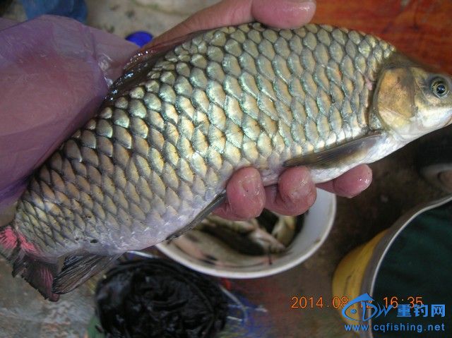 28.JPG