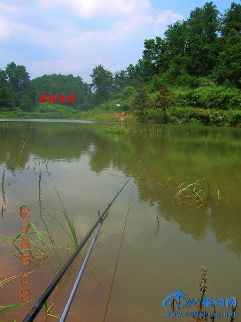 DSCN7969.JPG