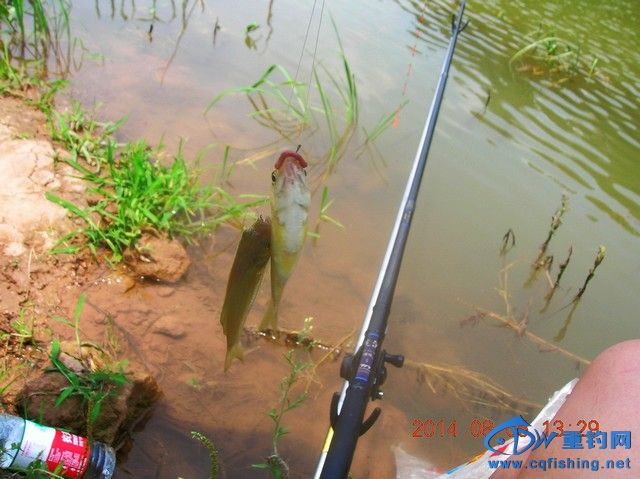 DSCN7971.JPG