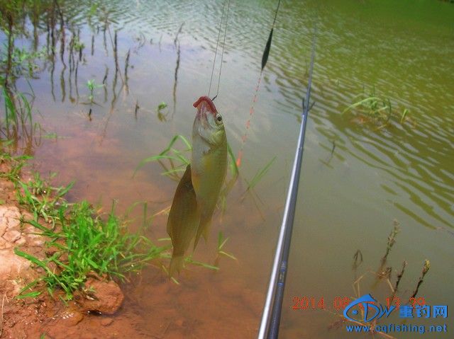DSCN7972.JPG