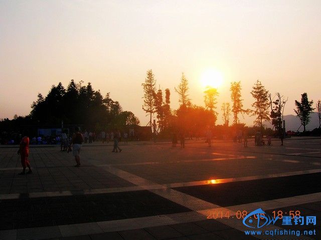 DSCN7994.JPG