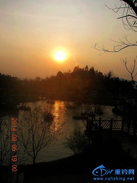 DSCN8001.JPG