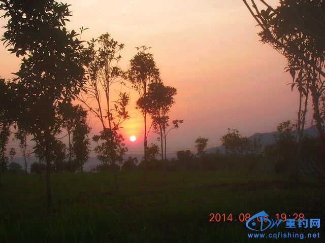 DSCN8045.JPG