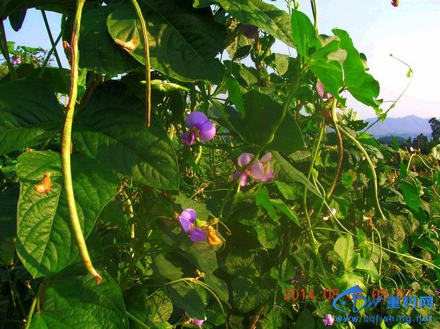 DSCN8064.JPG