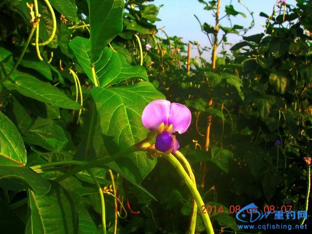 DSCN8065.JPG