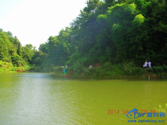 DSCN8073.JPG