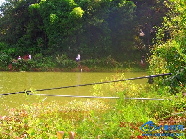 DSCN8074.JPG