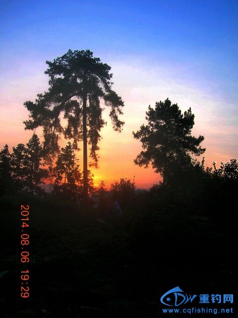 DSCN8120.JPG