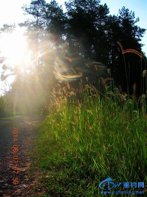 DSCN8133.JPG