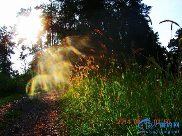 DSCN8134.JPG