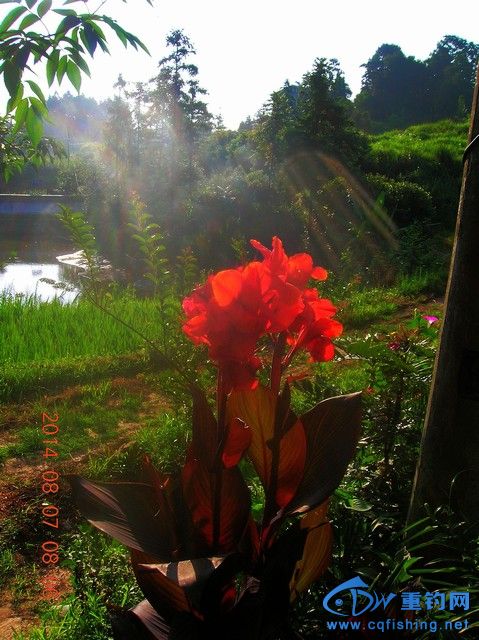 DSCN8137.JPG