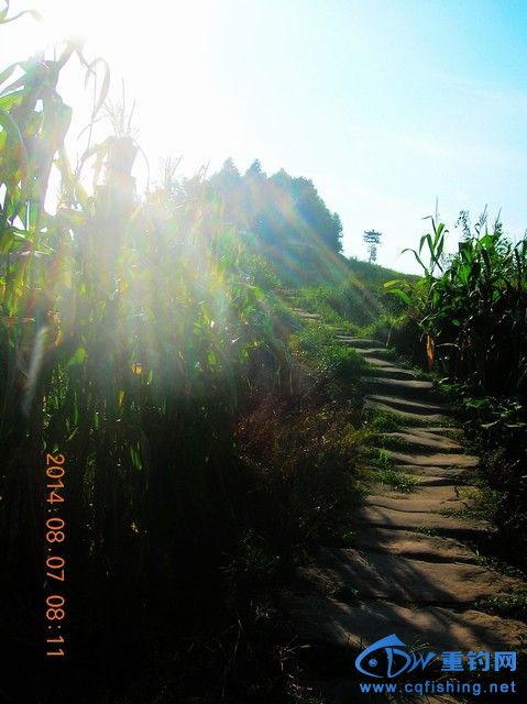 DSCN8142.JPG