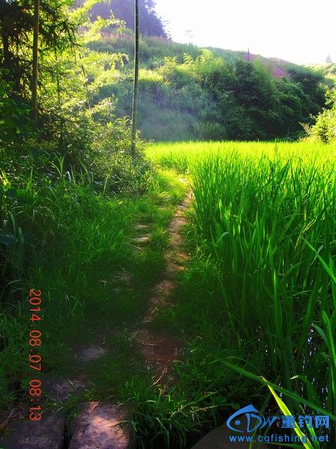 DSCN8144.JPG