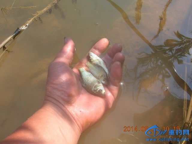 DSCN8147.JPG