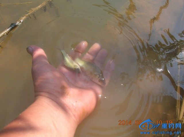 DSCN8149.JPG