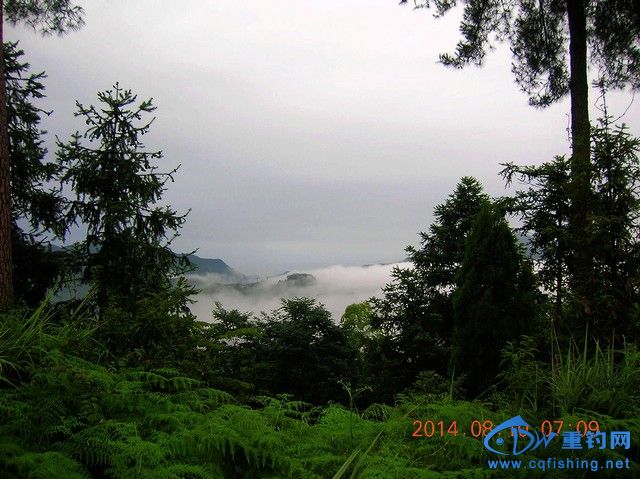 DSCN8201.JPG