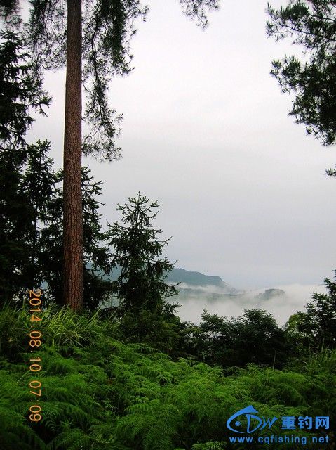 DSCN8202.JPG
