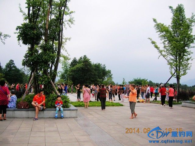 DSCN8266.JPG