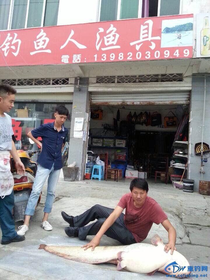 QQͼƬ20140816165451_.jpg