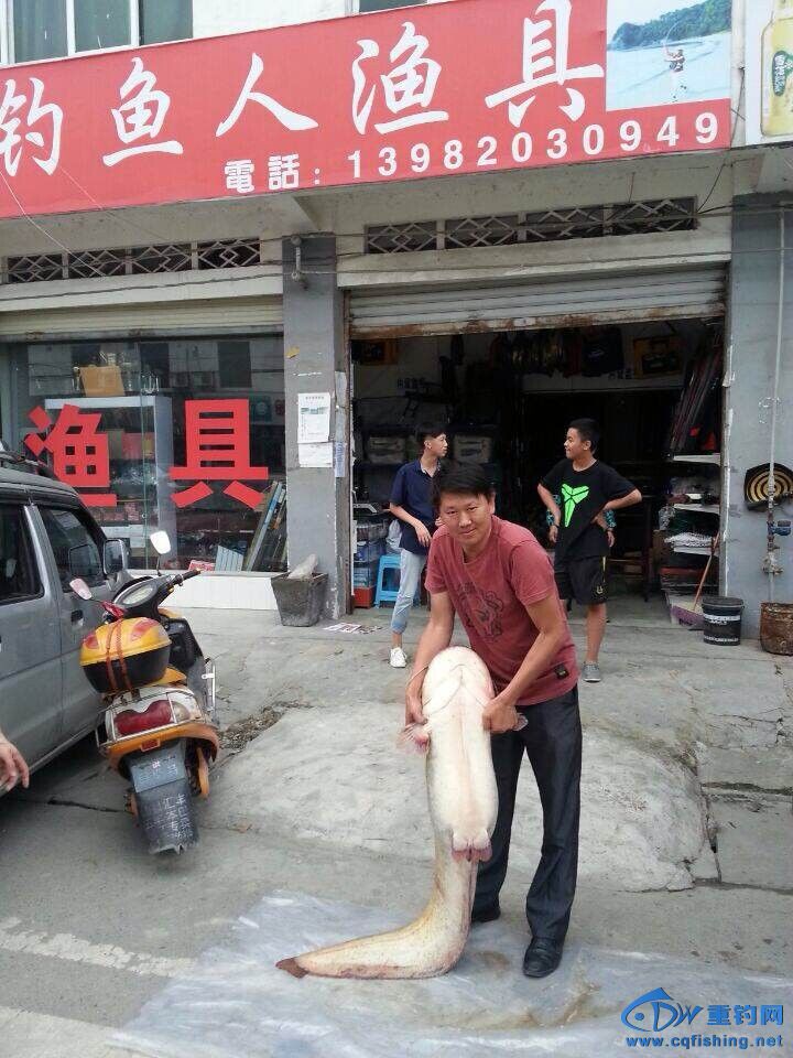QQͼƬ20140816165459_.jpg