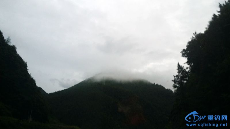 20140811_190554.jpg