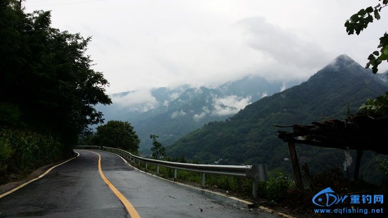 20140812_120838.jpg