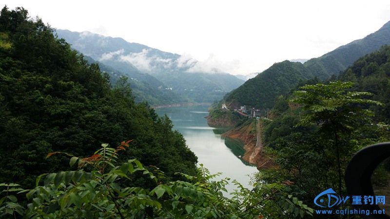20140812_121954.jpg