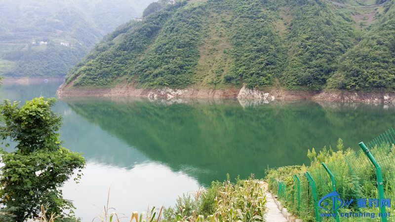 20140812_141107.jpg