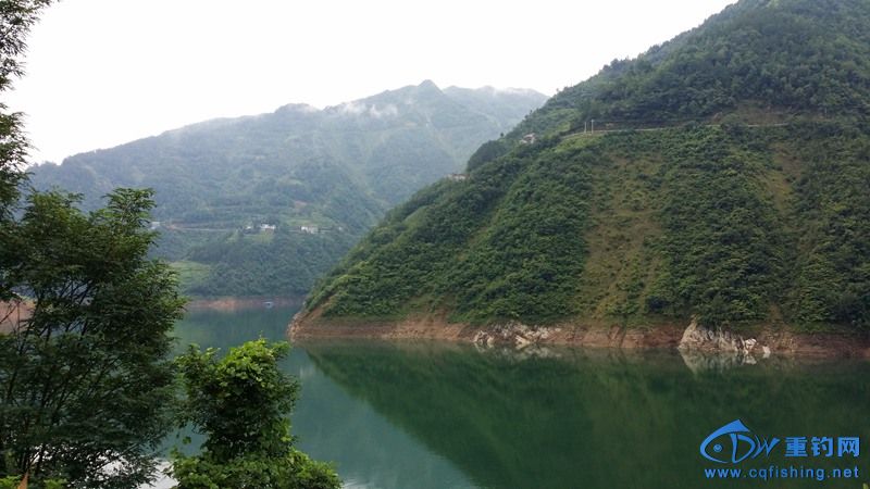 20140812_141110.jpg