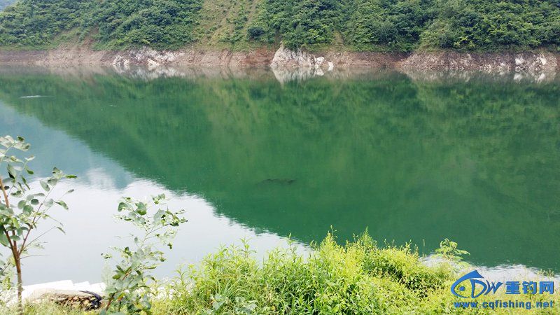 20140812_141415.jpg