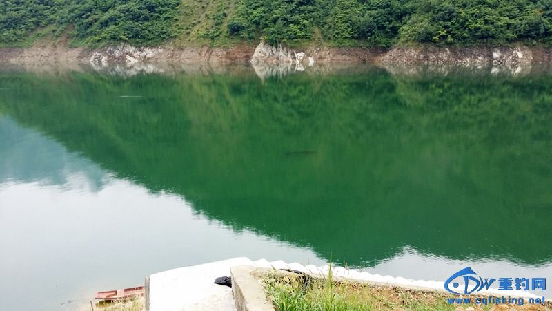20140812_141451.jpg
