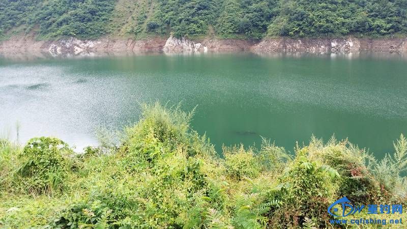 20140812_142510.jpg
