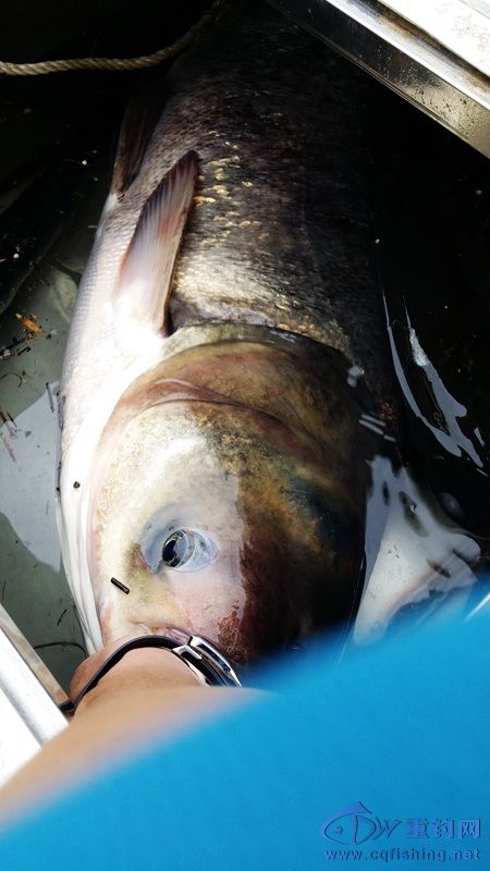 20140812_155323.jpg