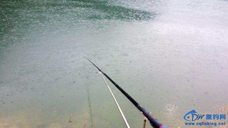 20140812_163756.jpg