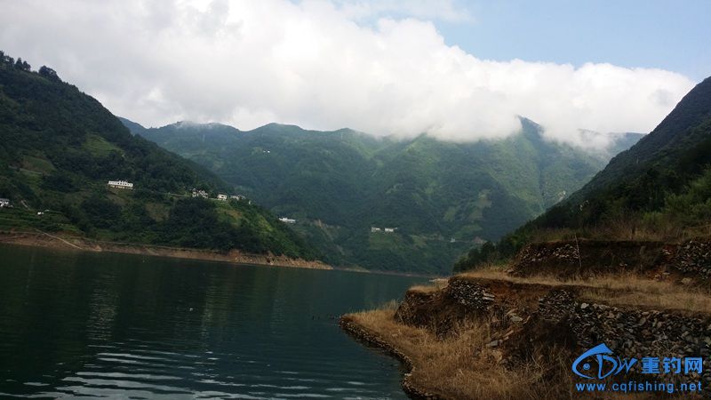 20140813_091733.jpg