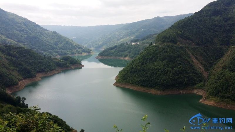 20140813_110446.jpg