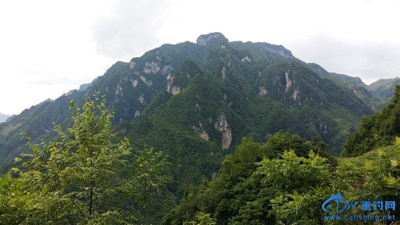 20140814_151808.jpg