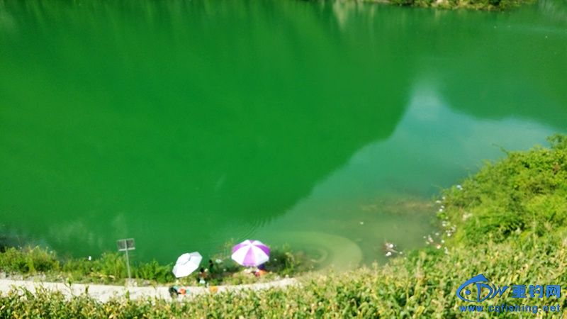 20140814_161242.jpg